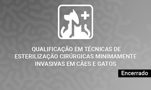 Curso Teórico de Qualificação em Técnicas de Esterilização Cirúrgicas Minimamente Invasivas em Cães e Gatos – Turma 2