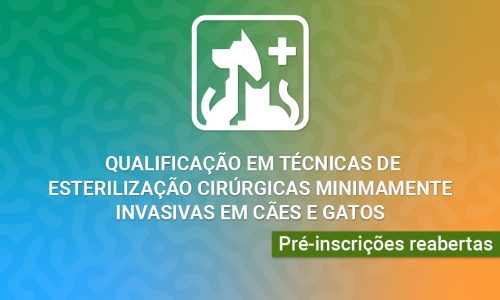 Curso Teórico de Qualificação em Técnicas de Esterilização Cirúrgicas Minimamente Invasivas em Cães e Gatos – Turma 2